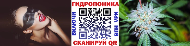 Где продают наркотики Палласовка ГАШ  Бошки Шишки  АМФ  Меф 
